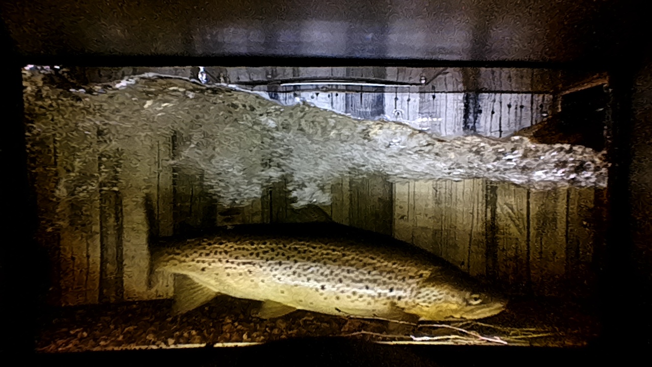 Video 2026-09-06 05:06