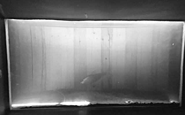 Video 2026-09-18 20:51