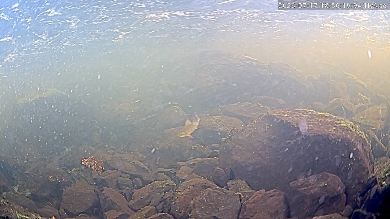 Video 2026-07-17 18:57