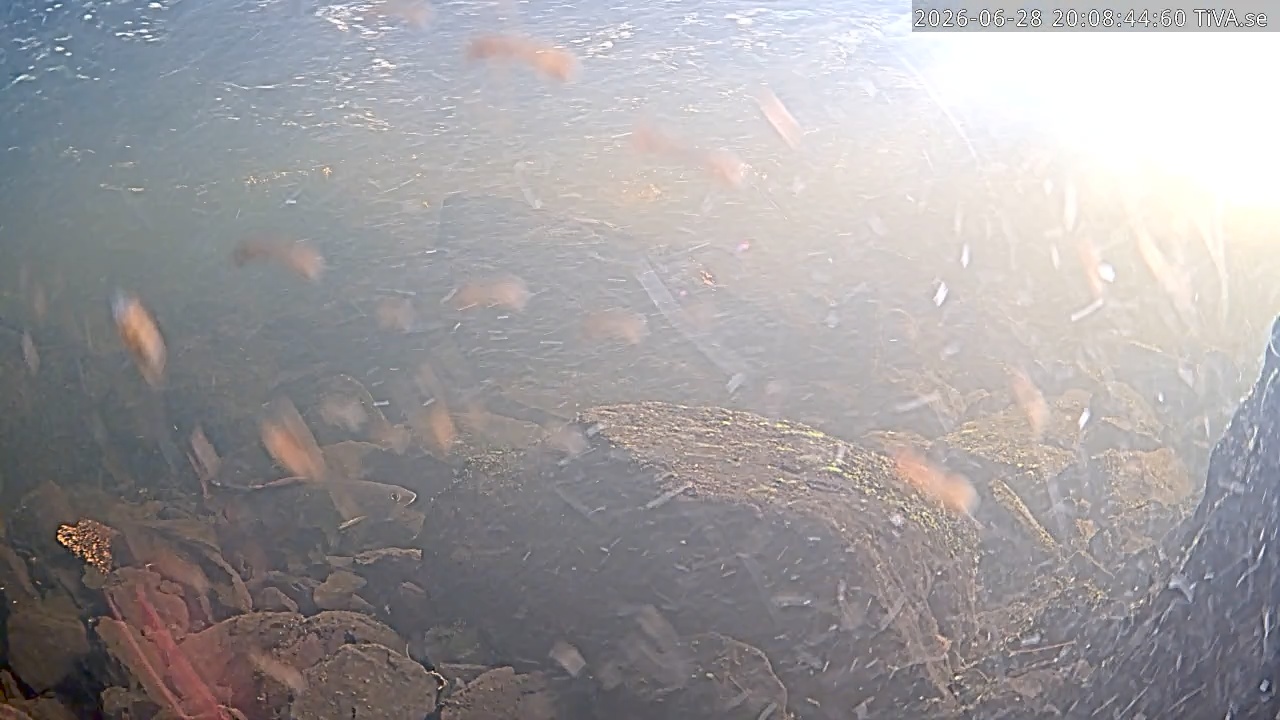 Video 2026-06-28 20:08