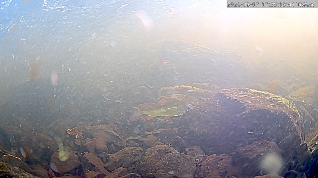 Video 2026-08-07 17:26