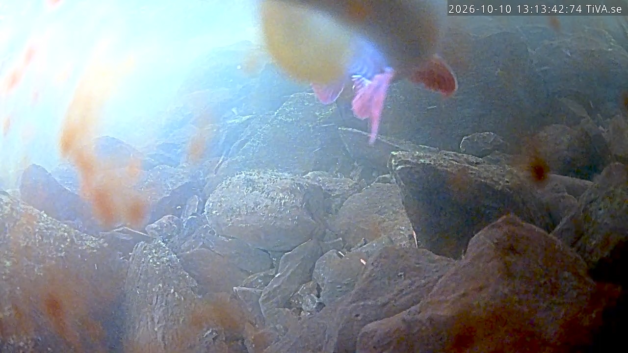Video 2026-10-10 13:13