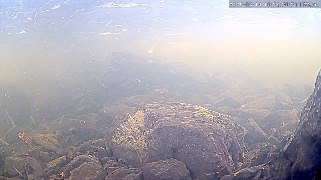 Video 2026-05-14 10:56