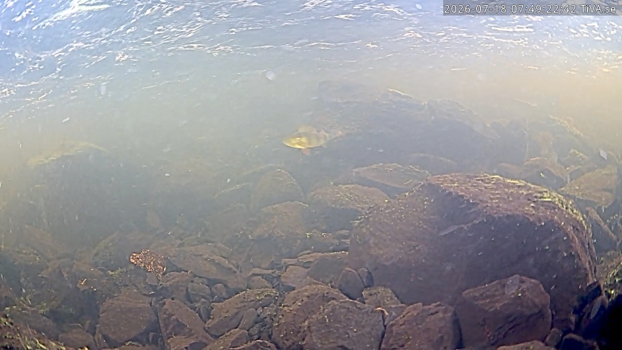 Video 2026-07-18 07:49