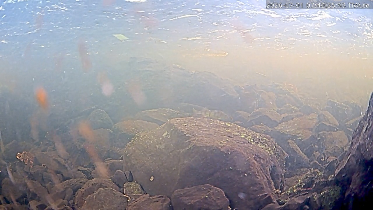 Video 2026-07-01 07:40