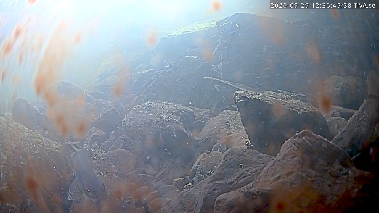 Video 2026-09-29 12:36
