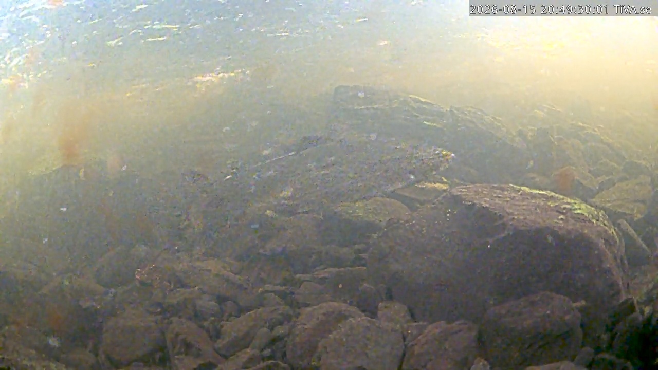 Video 2026-08-15 20:49