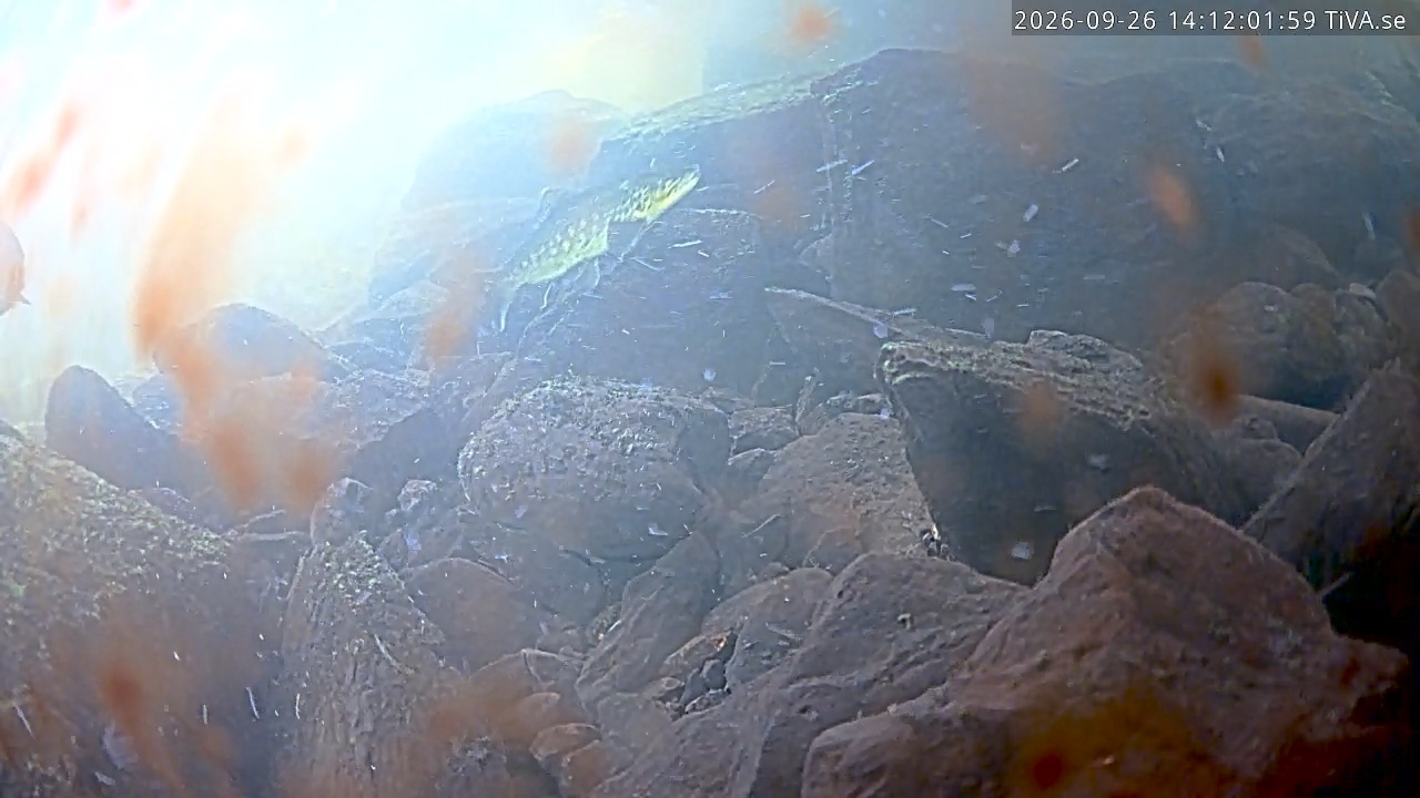 Video 2026-09-26 14:12
