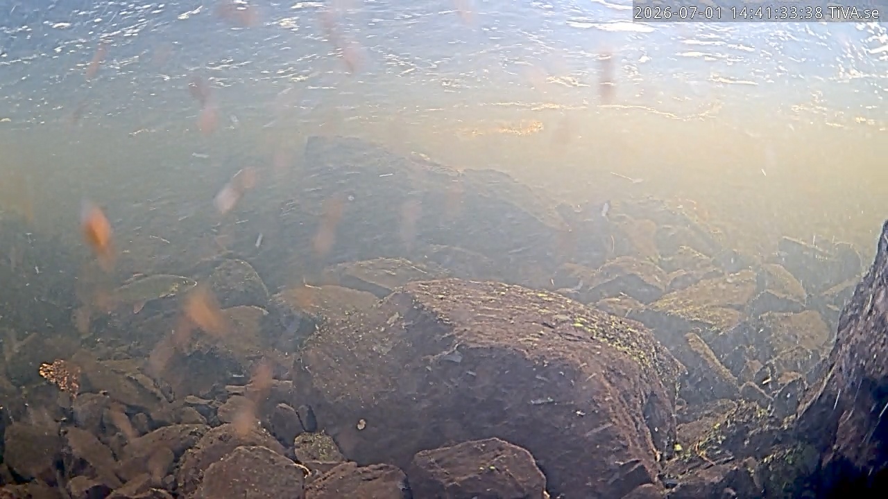 Video 2026-07-01 14:41