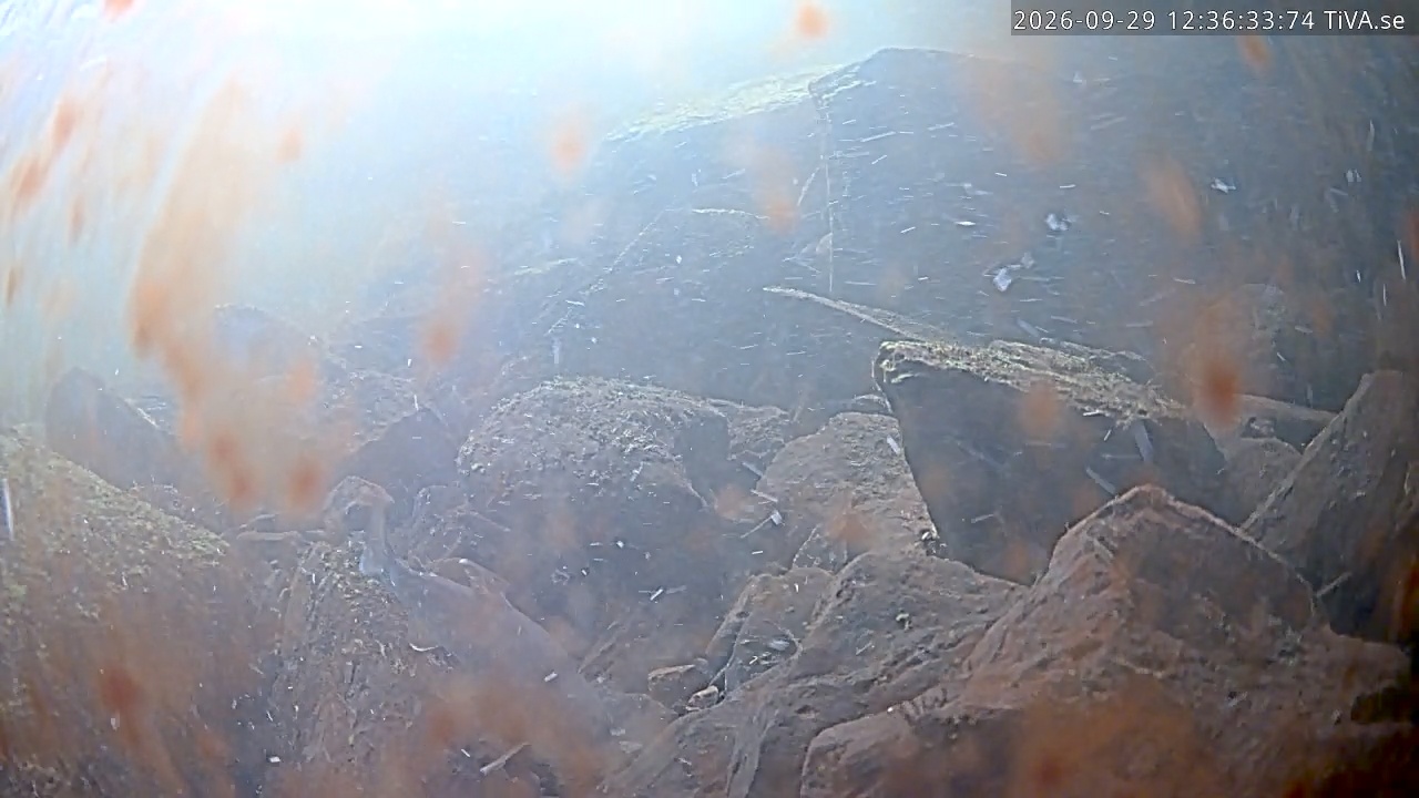 Video 2026-09-29 12:36
