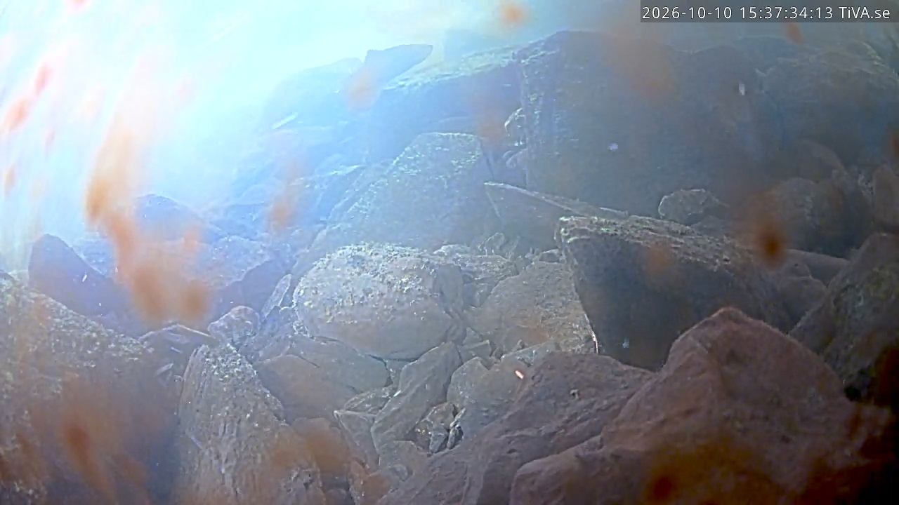 Video 2026-10-10 15:37