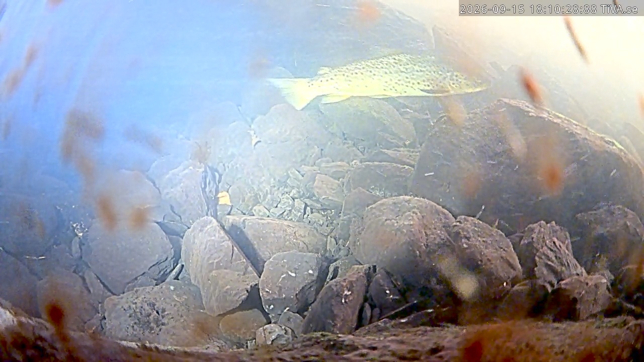 Video 2026-09-15 18:10