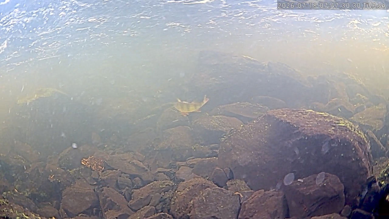 Video 2026-07-18 07:47