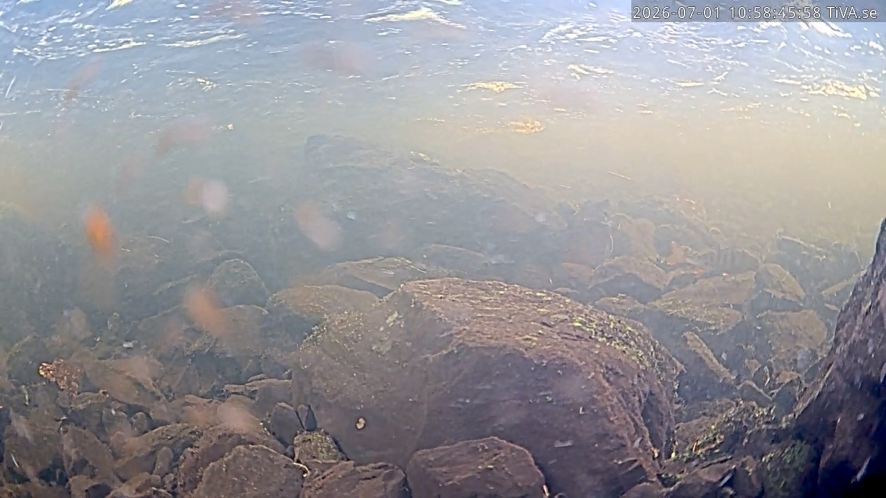 Video 2026-07-01 10:59