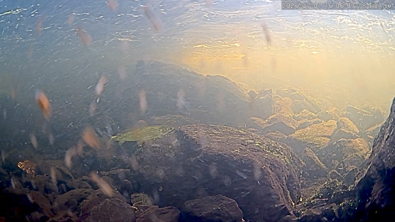 Video 2026-07-01 16:06