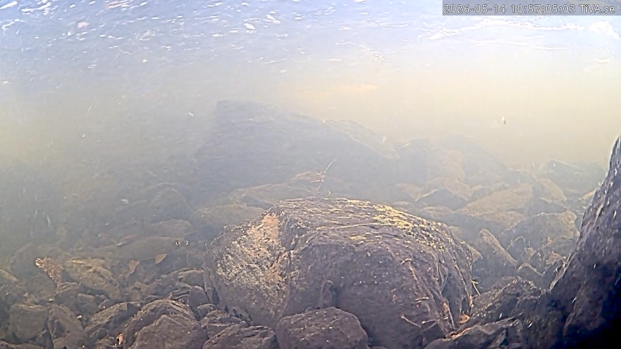 Video 2026-05-14 10:58