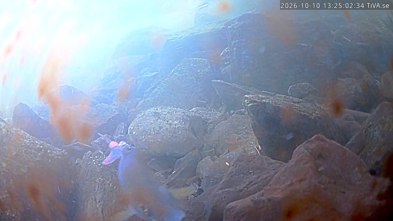 Video 2026-10-10 13:25