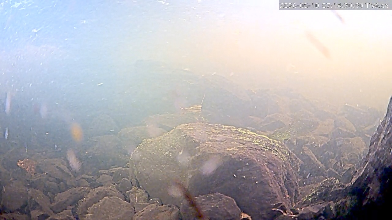 Video 2026-06-10 07:14