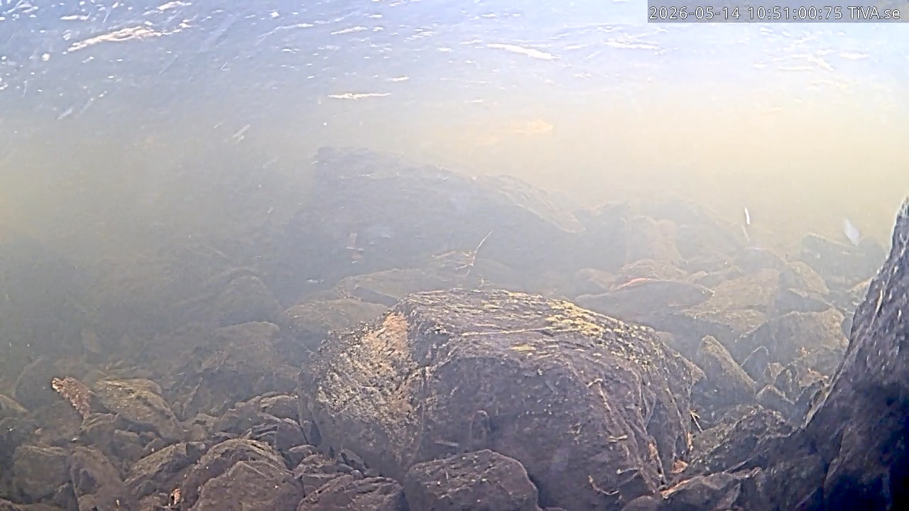 Video 2026-05-14 10:51