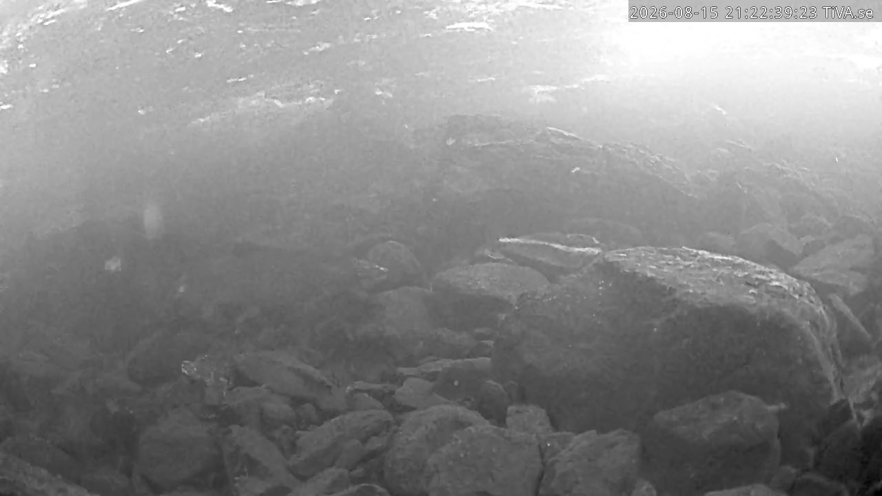 Video 2026-08-15 21:23