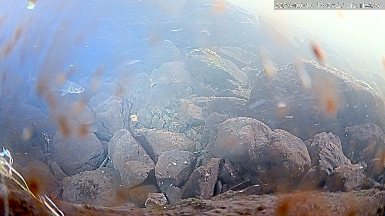 Video 2026-09-16 13:04