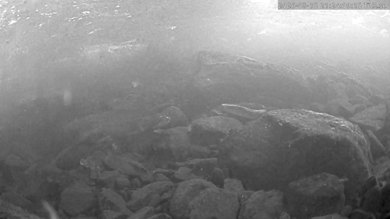 Video 2026-08-15 21:24