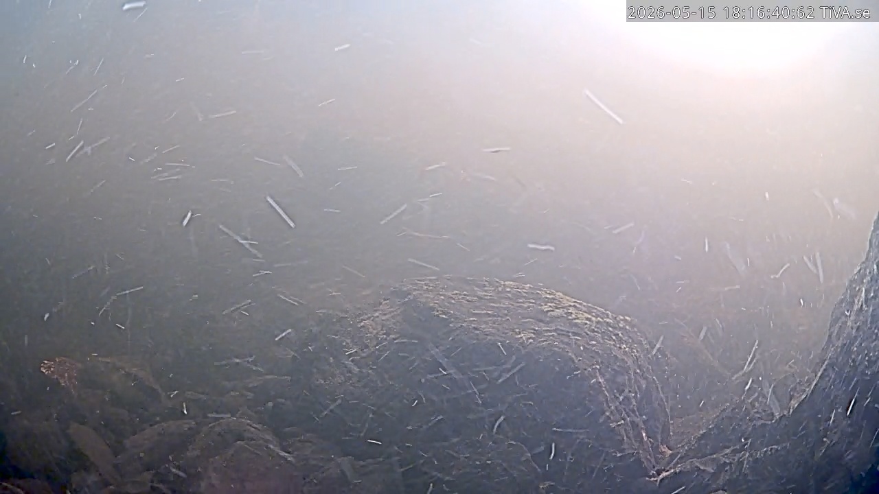 Video 2026-05-15 18:16