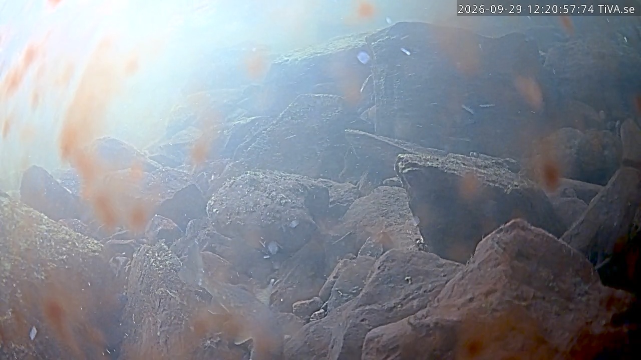 Video 2026-09-29 12:21