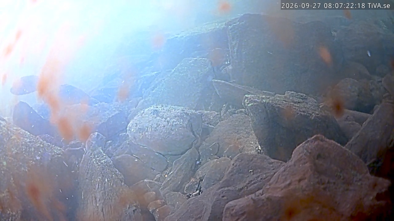 Video 2026-09-27 08:07