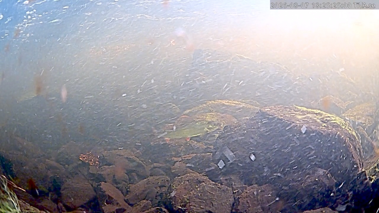 Video 2026-08-07 18:25