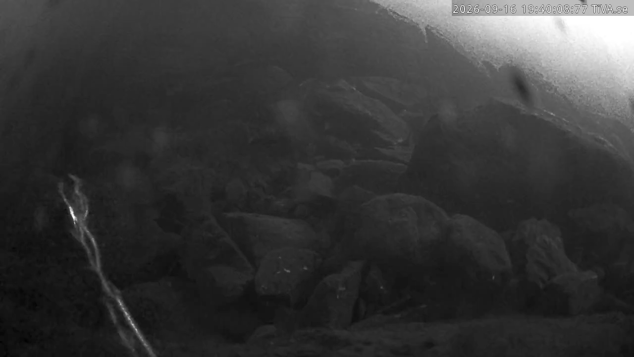 Video 2026-09-16 19:40
