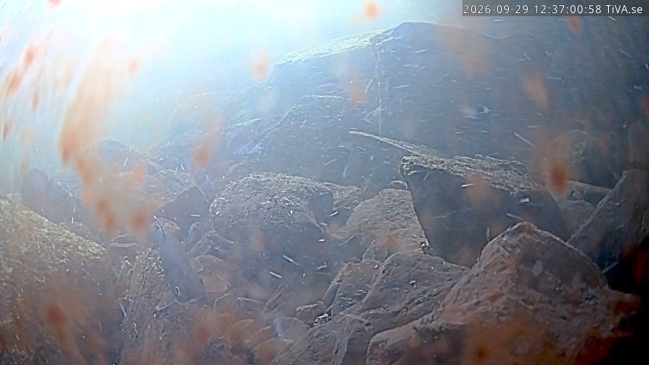 Video 2026-09-29 12:37