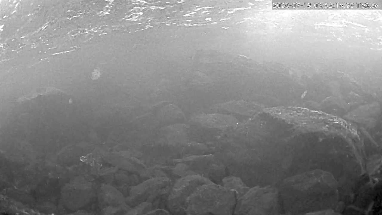 Video 2026-07-18 03:52