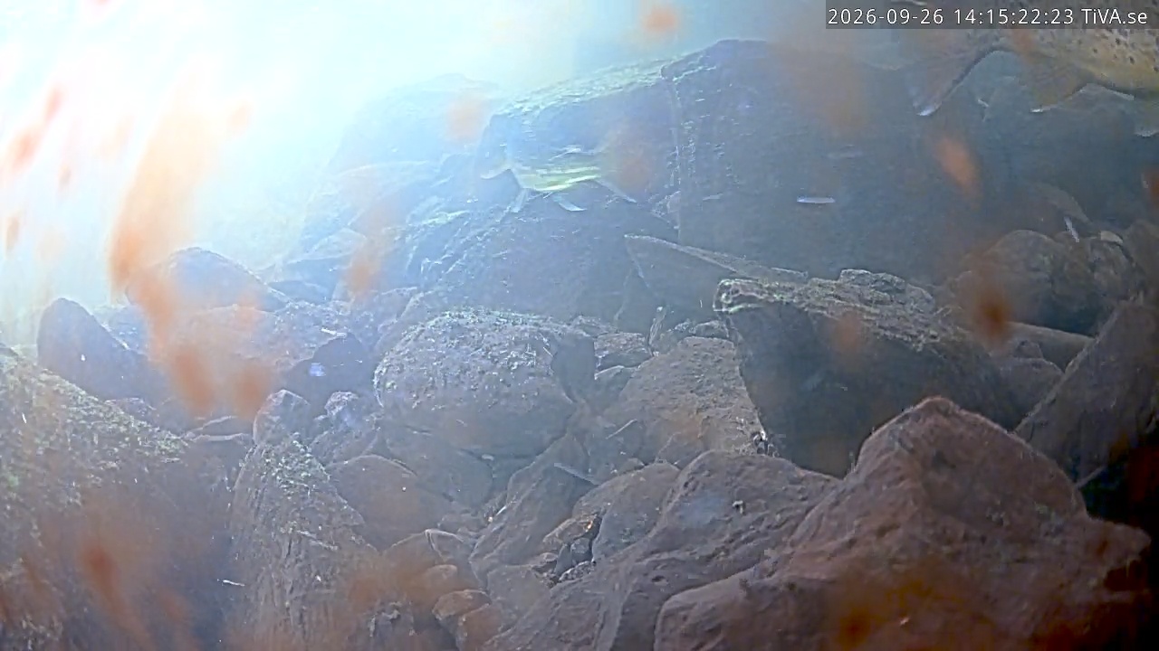 Video 2026-09-26 14:15