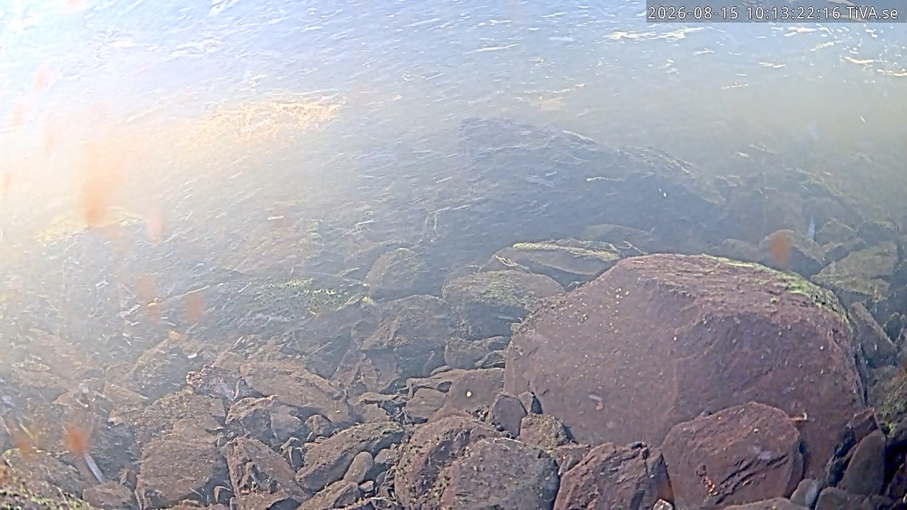 Video 2026-08-15 10:13