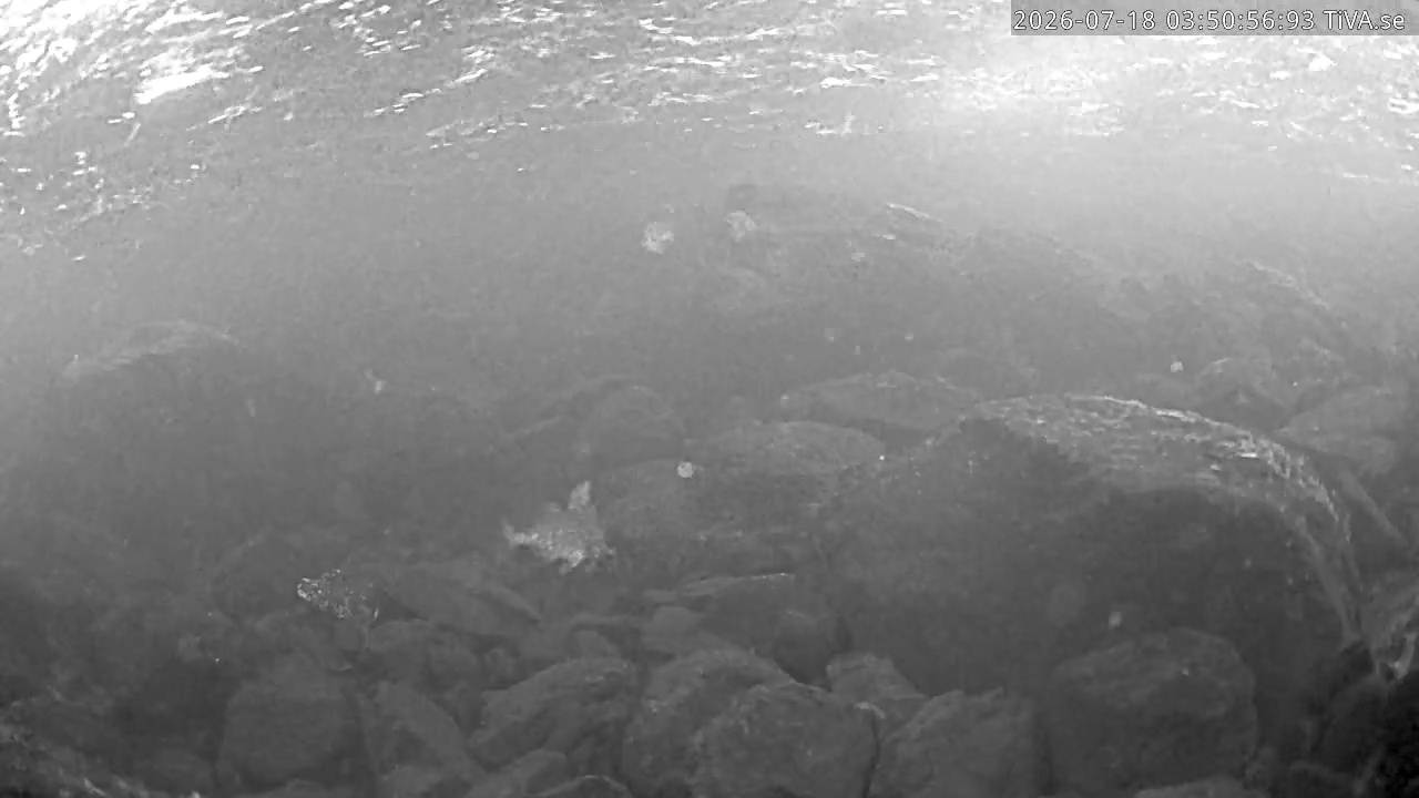 Video 2026-07-18 03:51