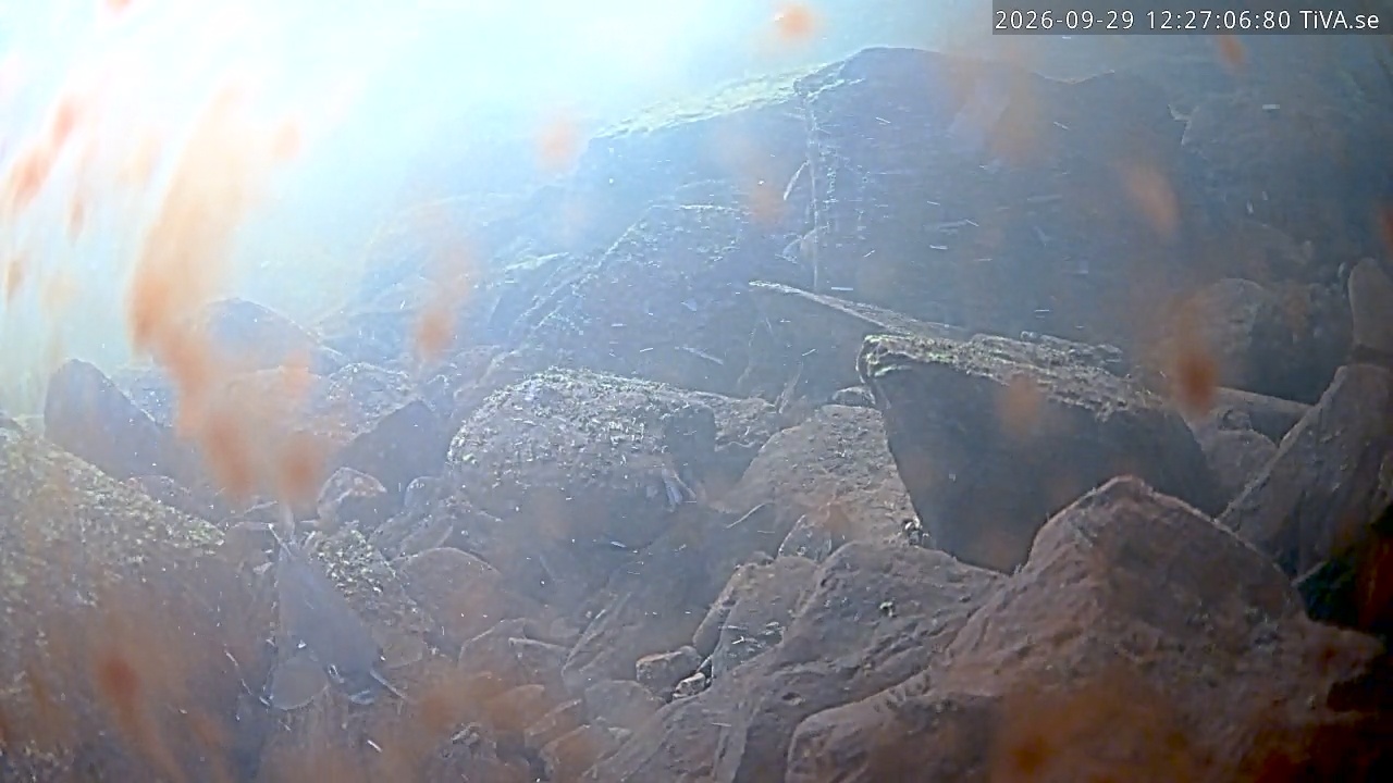 Video 2026-09-29 12:27