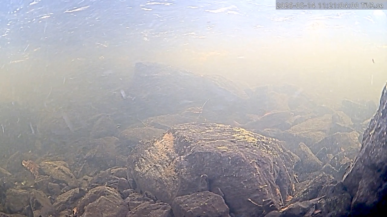 Video 2026-05-14 11:21