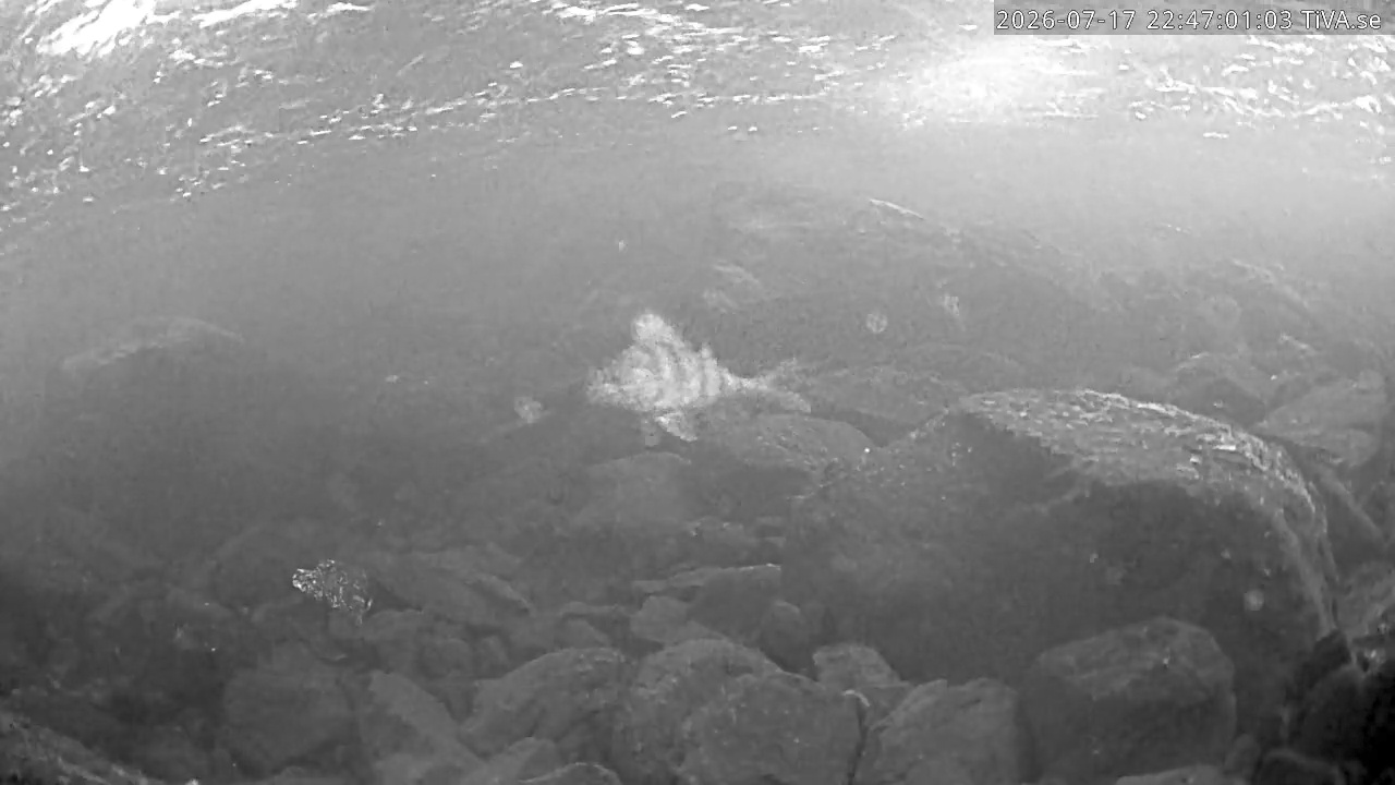 Video 2026-07-17 22:47