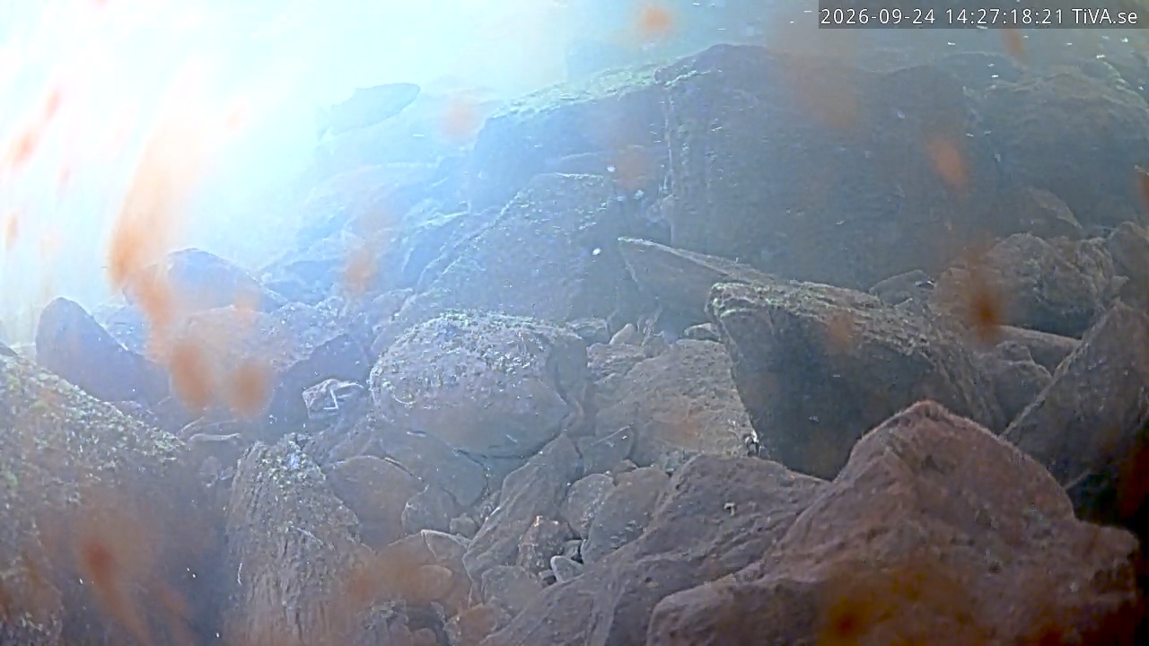 Video 2026-09-24 14:27
