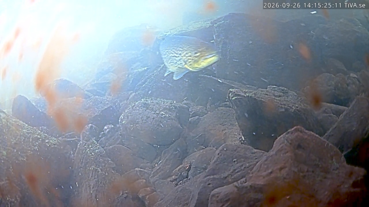 Video 2026-09-26 14:15