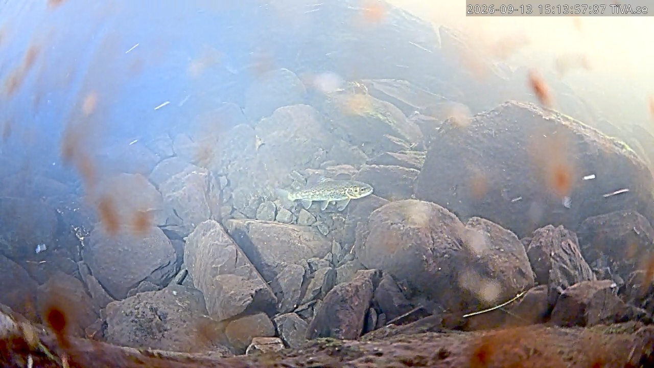 Video 2026-09-13 15:14