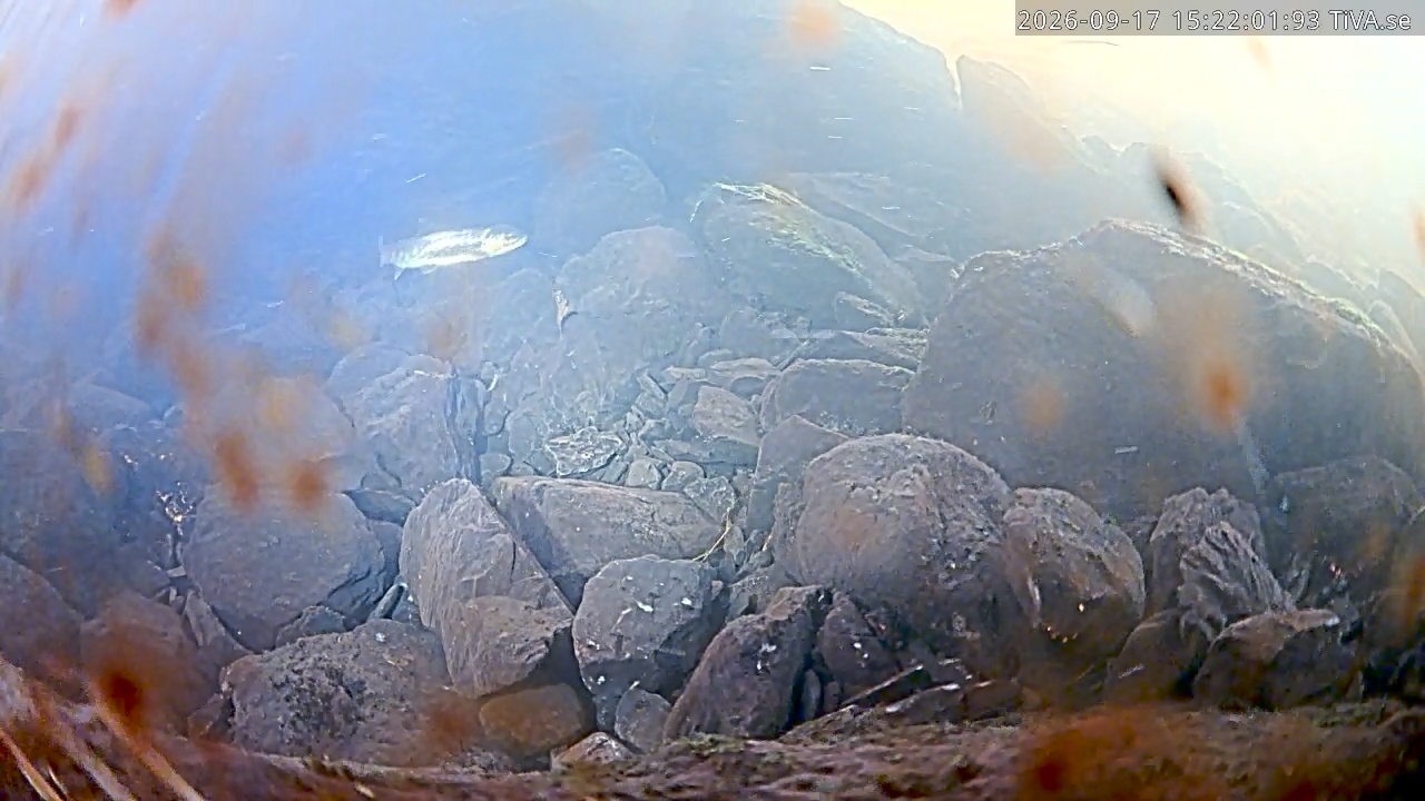 Video 2026-09-17 15:22