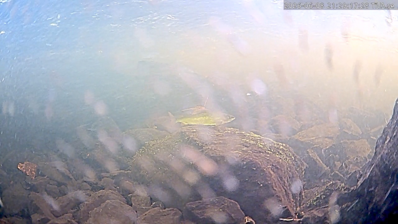 Video 2026-06-08 21:29