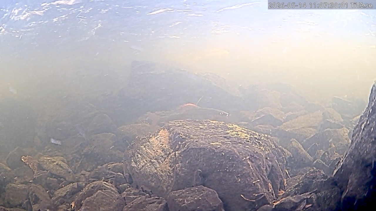 Video 2026-05-14 11:07