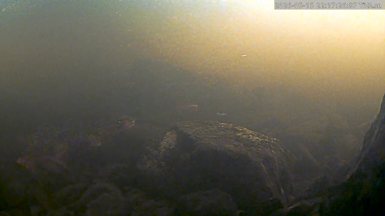 Video 2026-05-15 22:17