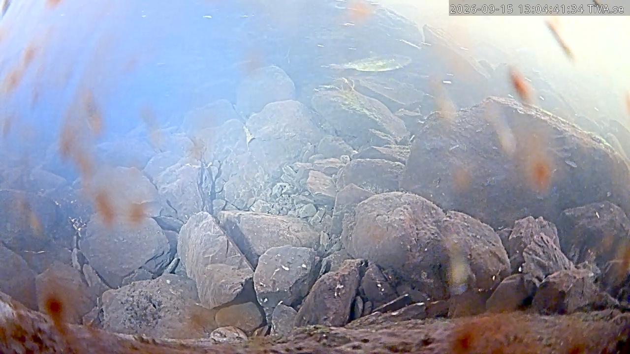 Video 2026-09-15 13:04