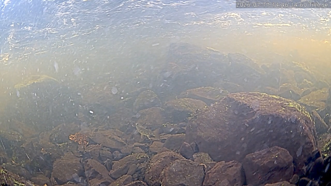 Video 2026-07-17 14:46