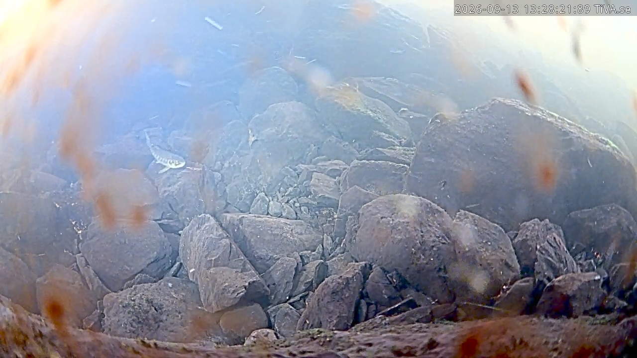 Video 2026-09-13 13:28