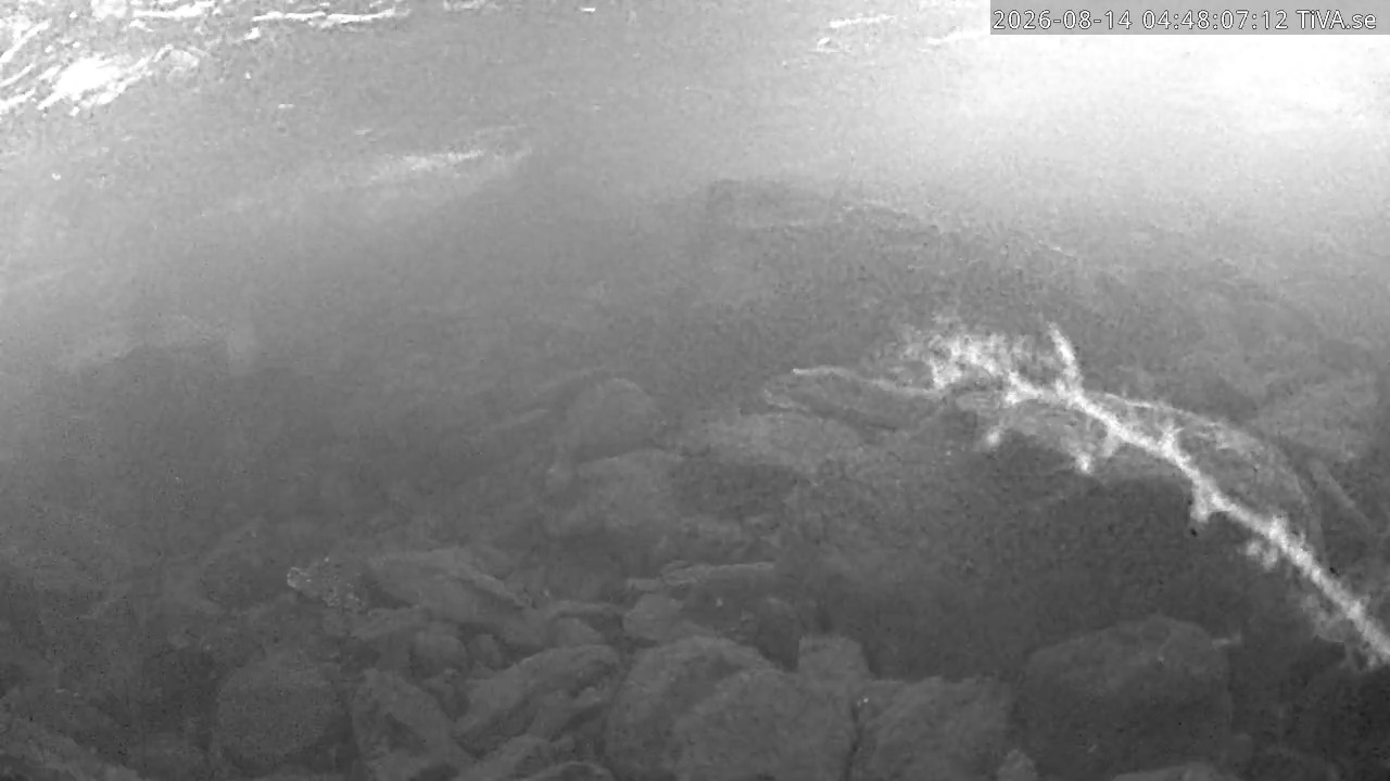 Video 2026-08-14 04:48